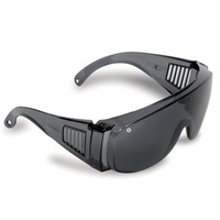 Visitors Safety Glasses Smoke Lens 3002