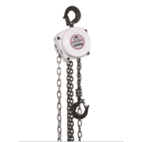 Beaver 3G Chain Block