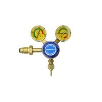 Argon Twin Gauge (Side Entry)