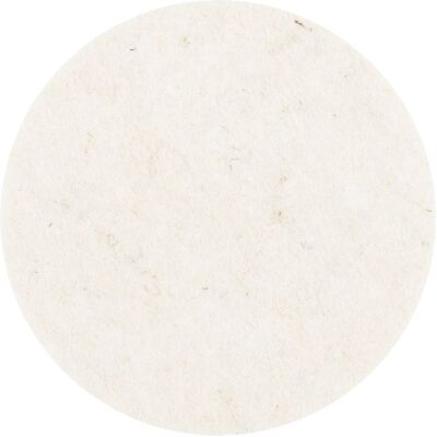Combidisc Felt Disc CDR Type CDR FR 50 Pferd 42003050