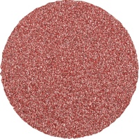 Combidisc 50mm CDR 50 A 36g Aluminium Oxide Pferd 42770503