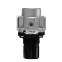 1/2" Regulator AR40-04BG-B 