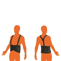 ProChoice Back Support Belt BB