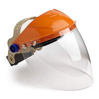 Browguard With Visor Clear Lens ProChoice BGVC 