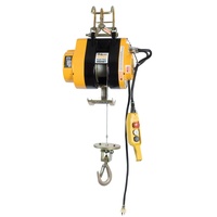 Electric Mini Hoist 3m Lifting Height 250 Kg Capacity Beaver BMI1025