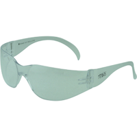 Texas Clear Safety Glasses With Anti Fog Clear Lens EBR330