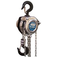 Mini Chain Block 0.25T Size 2M Lift GCB0022 