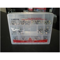 Metric Grease Nipple Kit 100 piece Alemlube L4676