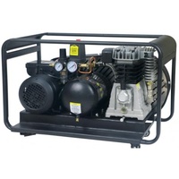 Air Compressor Roll Cage 220 LPM Peerless Black PB14000R 