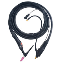 26FX 8M TIG Torch WIA remote M10 TIG007
