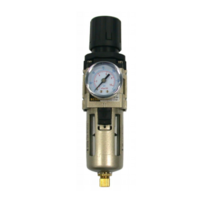 COMPRESSED AIR/FILTER REGULATOR