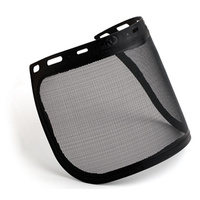 PRO Mesh Visor