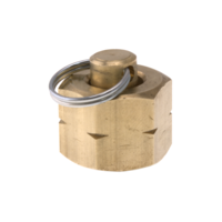Blanking Plug L/H 3/8