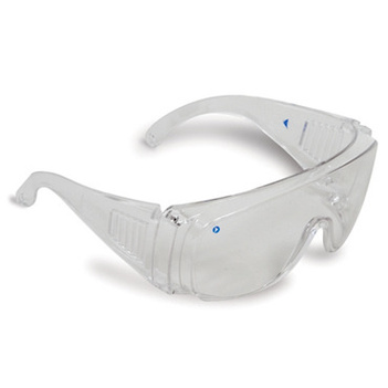 Visitors Safety Glasses Clear Lens 3000