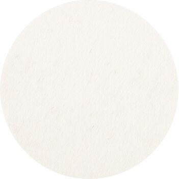 Combidisc Felt Disc CDR Type CDR FR 75 Pferd 42003075