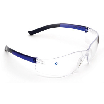 Futura Safety Glasses Clear Lens 9000