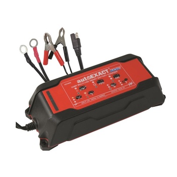 Matson Auto Exact 3.0amp Smart Charge