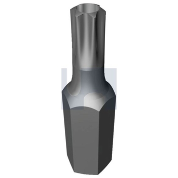 ISBPT30