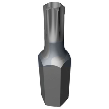 Plain Finish Security Socket Bit Post Torx Hobson