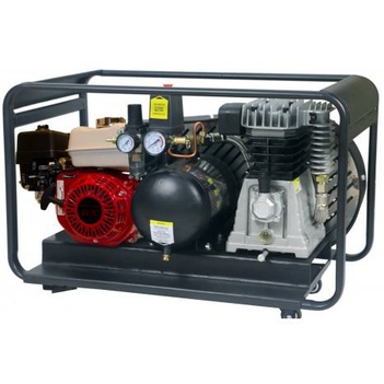 Air Compressor Petrol Roll Cage PEERLESS BLACK 17000 (PB17000PR)