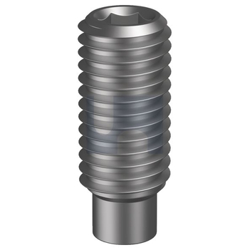 Plain Finish Socket Set Screw Dog Point Metric Hobson