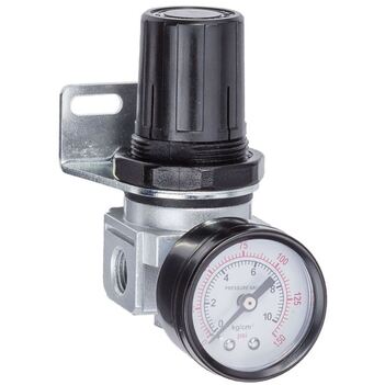 1/4" Regulator Operating Temp. Range: 5-60° C THBR202 main image