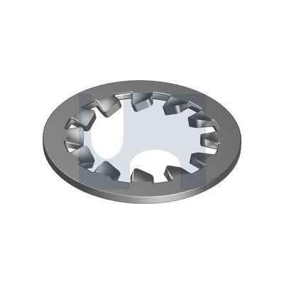 304 Stainless Internal Tooth Lock Washers category image