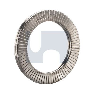 316L Stainless Wedge Lock Washers category image