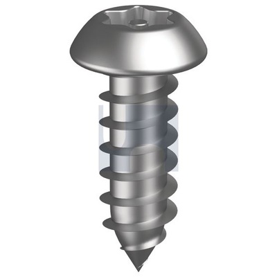 Self-Tapping Screw Security Fastners category image