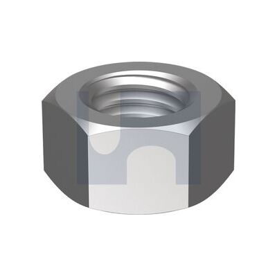 304 Stainless Standard Hex Nuts category image