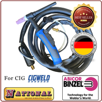CIG Tig Torches category image