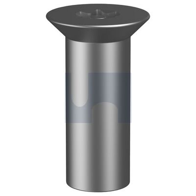 Countersunk Head Barrel Nut Security Fastners category image