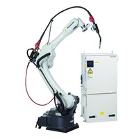 Robot Welding Systems category image