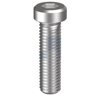 304 Stainless Low Head category image