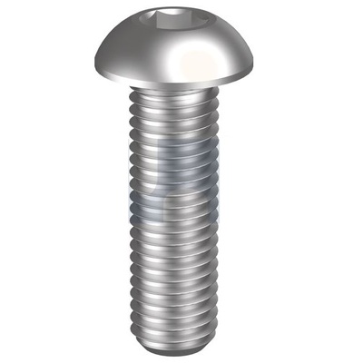 304 Stainless Button Head category image