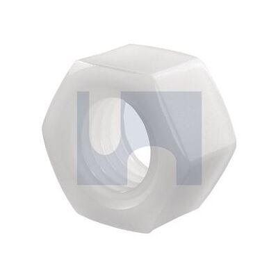 Nylon Natural Standard Hex Nuts category image