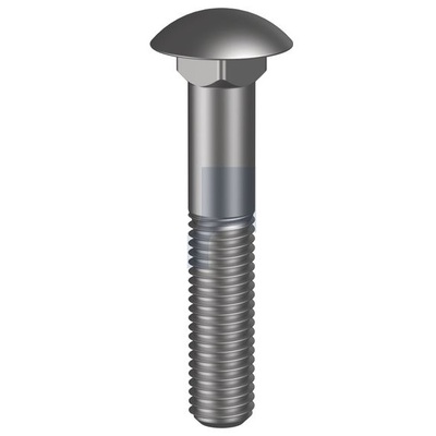 304 Stainless Cup Head Bolts category image