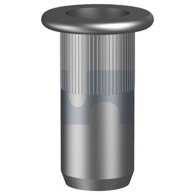 Flat Head Rivet Nuts category image